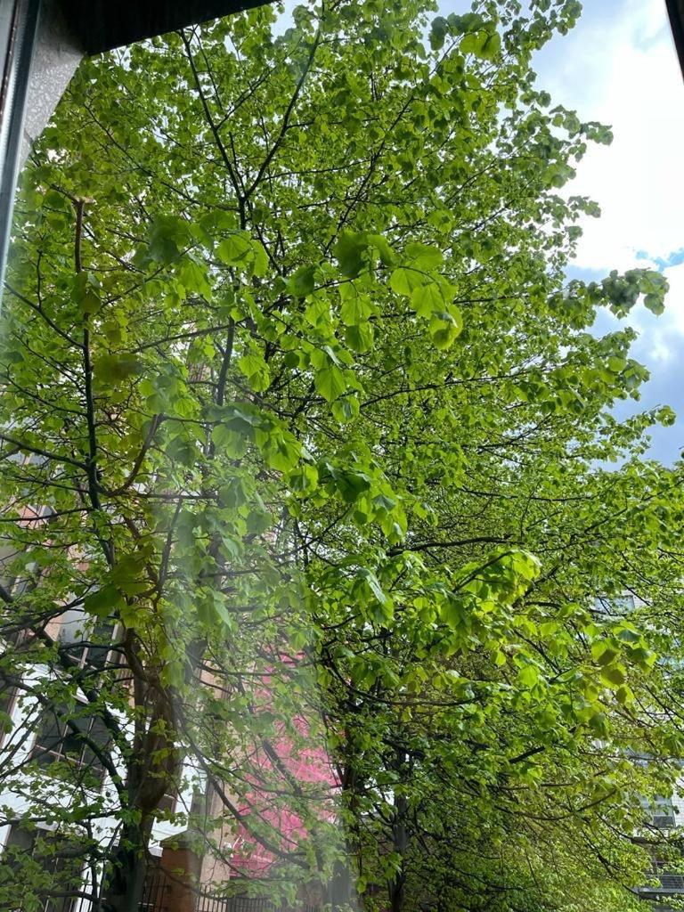 City Centre 3 マンチェスター エクステリア 写真